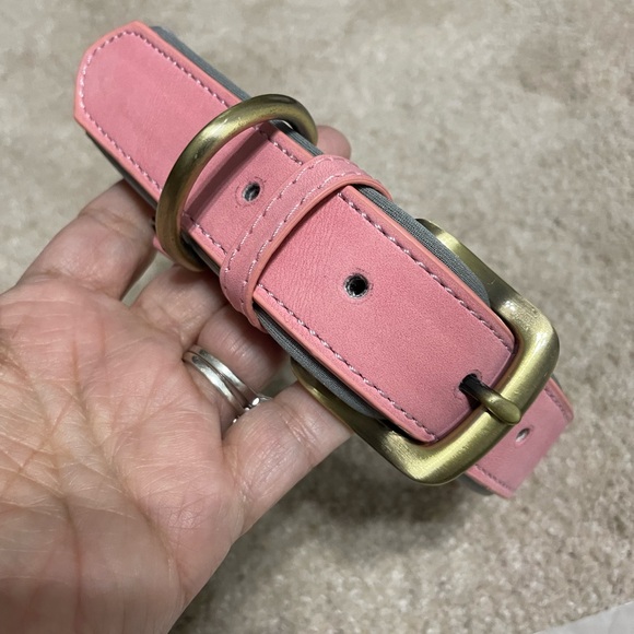 Two XL Dog Collars - Picture 2 of 7